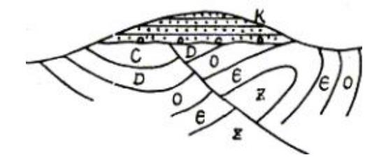1517798553820052056.jpg